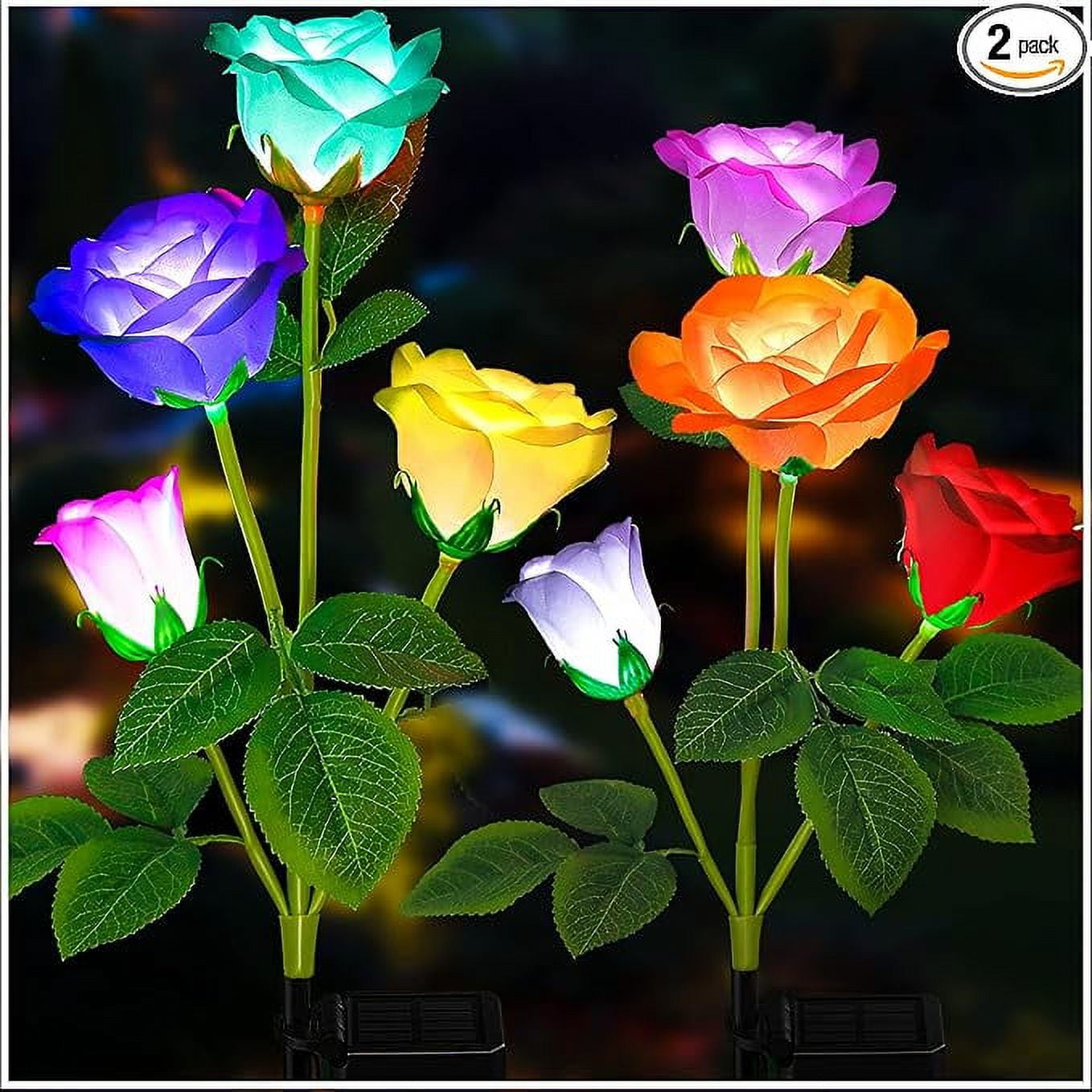 Tonulax solar lights cheap