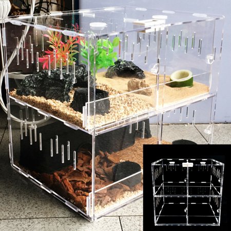 TOOL1SHOoo 4 Grids Acrylic Pet Lizard Crawling Pet Box Reptile Tank Insect Spiders Lizard Breeding Box