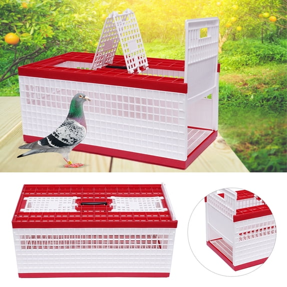 TOOL1SHOoo Supply Cage Folding Pigeon Training Release Cage w/ 4 Doors
