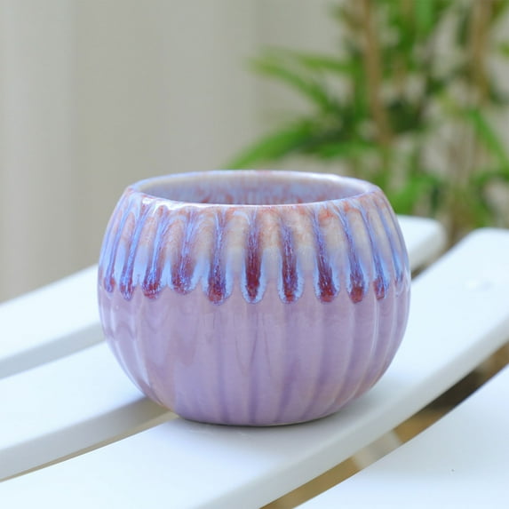 TOOPTY Ceramic Pumpkin Planter, Succulent Pot and Pumpkin Flower Pot for Indoor Gardening or Decorative Displays