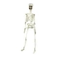 thumbnail image 1 of TOOPTY Full Body Skeleton Halloween Decoration Plastic Human Bones Model for Haunted House, Yard, Party, and Indoor Spooky Scenes, 1 of 4