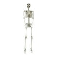 thumbnail image 1 of TOOPTY Full Body Skeleton Halloween Decoration Plastic Human Bones Model for Haunted House, Yard, Party, and Indoor Spooky Scenes, 1 of 4