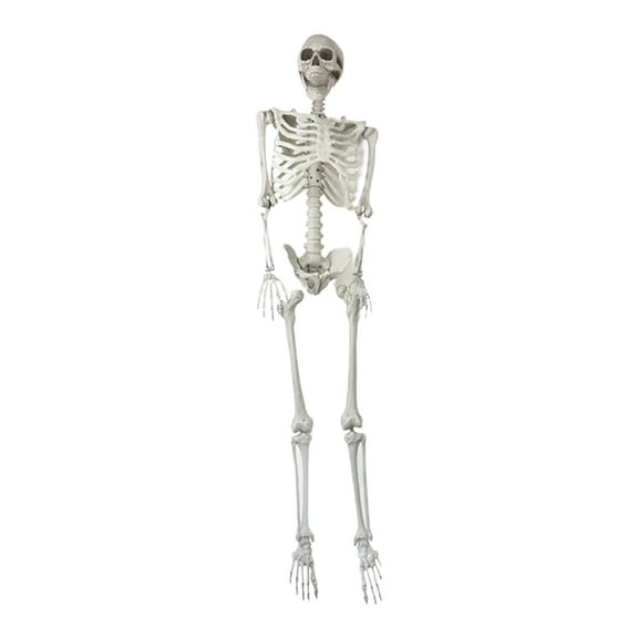 TOOPTY Full Body Skeleton Halloween Decoration Plastic Human Bones Model for Haunted House, Yard, Party, and Indoor Spooky Scenes