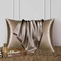 TOOPTY Silk Pillowcase for Hair and Skin, Soft Breathable Smooth Cooling Mulberry Silk Pillow Both Sided with Zipper,Gift for Women Mom Men(20x30in Coffee)
