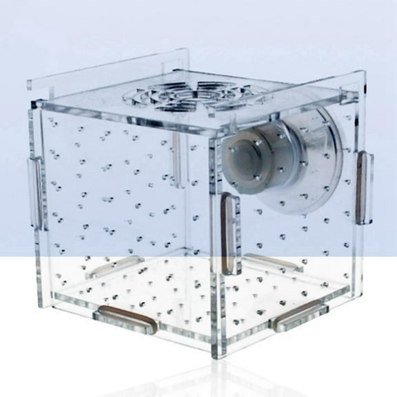TOOYFUL Breeder Box, Hatching Box, Clear Durable Suction Cup Aquarium Supply Breeding Box for Clown 6cmx6cmx6cm