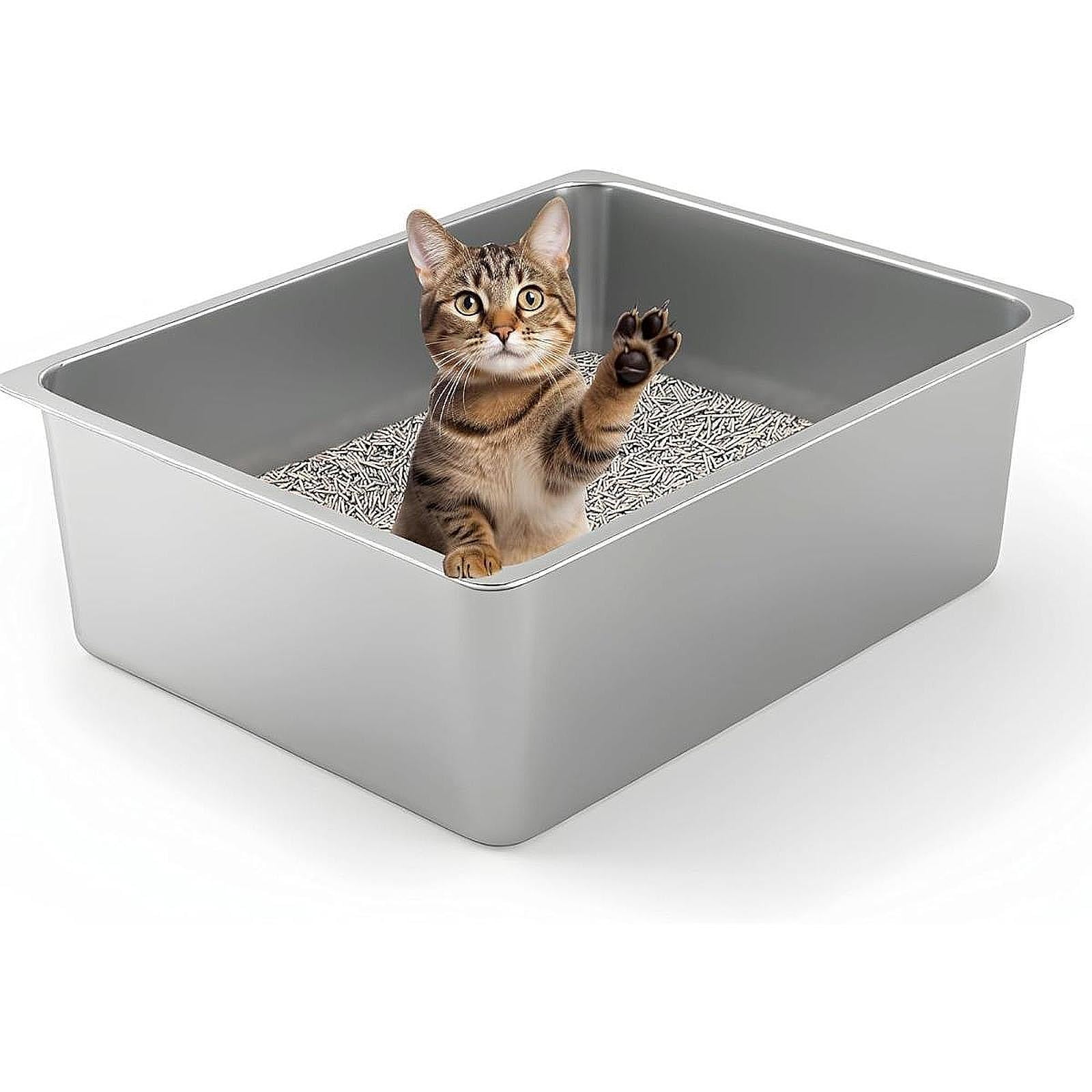 amazon water fountains for multiple cat Brook Glass Pet Fountain (90oz/2.7L) - Cat Water Fountain & Small Dog Drinking Fountain