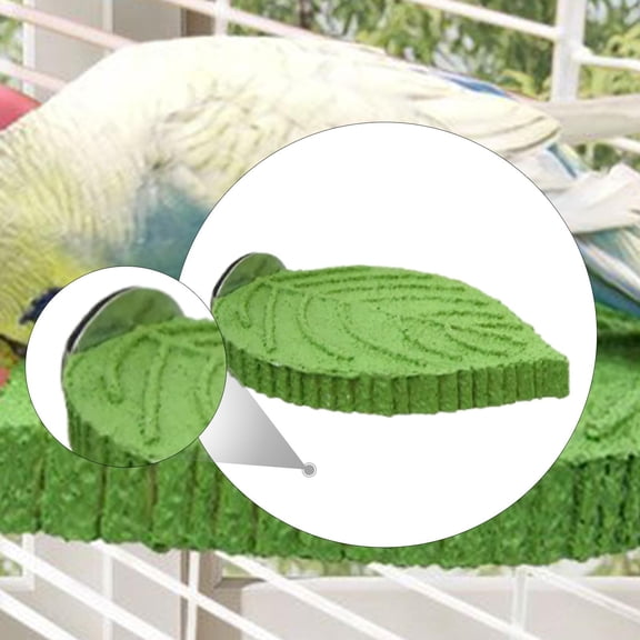 TOOYFUL Parrot Perch Compact Cage Accessories Bird Perch for Finches Canaries Macaws Green