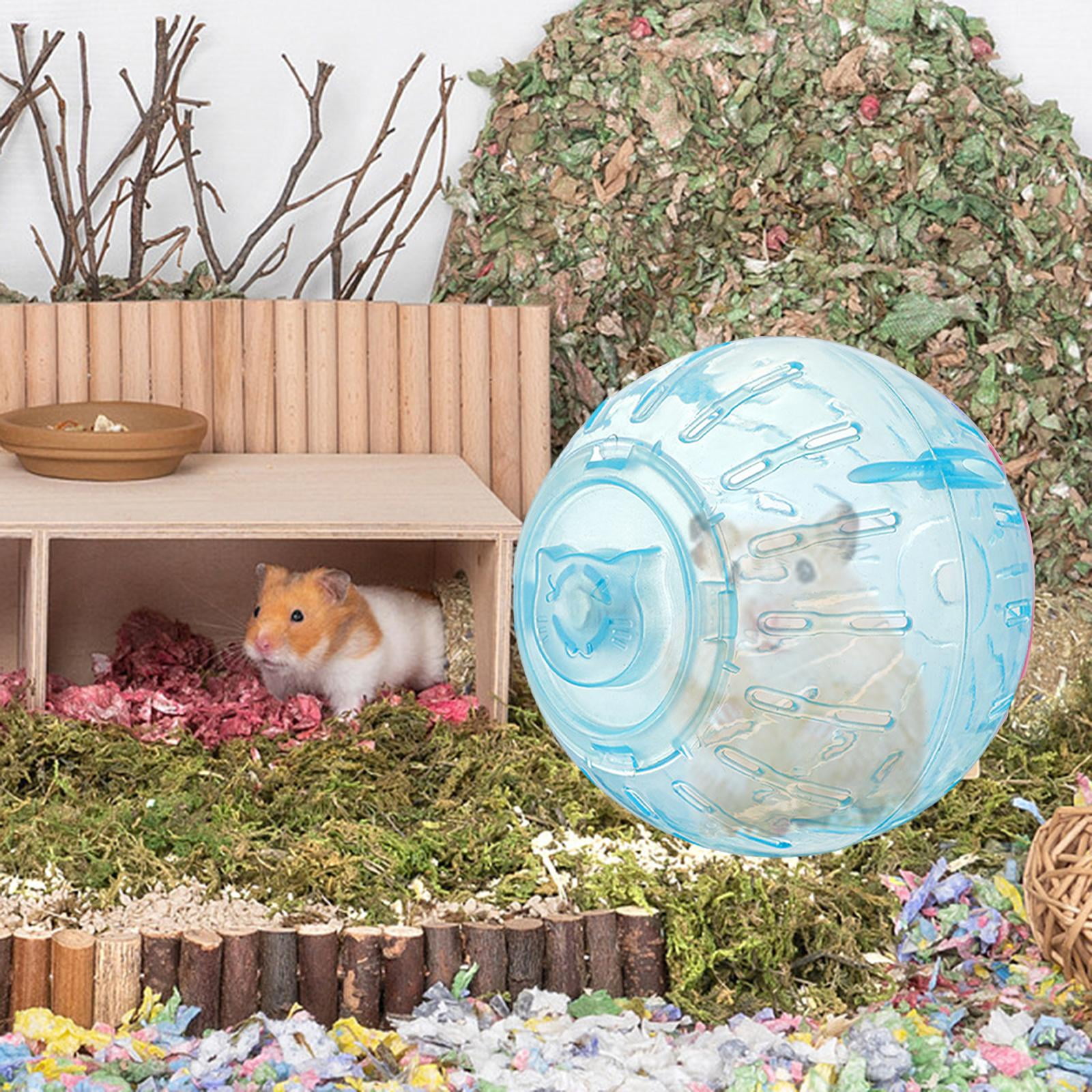 Photo inspiration: Hamster Exercise Gear Reference: Tooyful Small Hamster Ball Hamster S Toy Gerbil Hamster Jogging