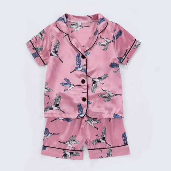 TOOYOU Girls Pajamas Baby Silk Pjs Spring Summer Homewear Multicolored Cartoon Print Short Sleeve Button Sleepwear Toddler Cute Loungewear Pink Size 3-4 Years