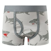 TOOYOU Toddler Boys Underwear Soft Boxer Briefs Cartoon Car Print Underpants Size 8-9 Year
