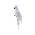thumbnail image 1 of TOP-MAX Artificial Feather Parrot Bird Fake Parrot Parrot Crafts Simulation Parrot Home Decation, 1 of 8