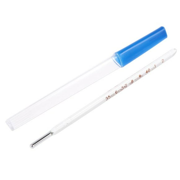 Geratherm Mercury Oral Thermometer