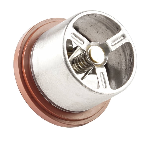 TOPAZ 94810612501 89c Engine Coolant Thermostat for 2008-2010 Porsche Cayenne 4.8L V8