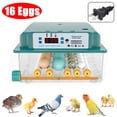 thumbnail image 1 of TOPCHANCES 16 Eggs Incubators for Hatching Eggs Digital Automatic Egg Turner Temp Control with Egg Candler Farm Poultry Incubators, 1 of 6