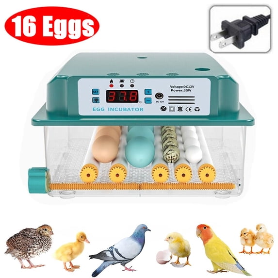 TOPCHANCES 16 Eggs Incubators for Hatching Eggs Digital Automatic Egg Turner Temp Control with Egg Candler Farm Poultry Incubators