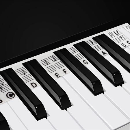 TOPCHANCES Piano Sticker, Piano Keyboard Sticker, 88 Key Electronic Keyboard Piano Note Sticker for Beginner