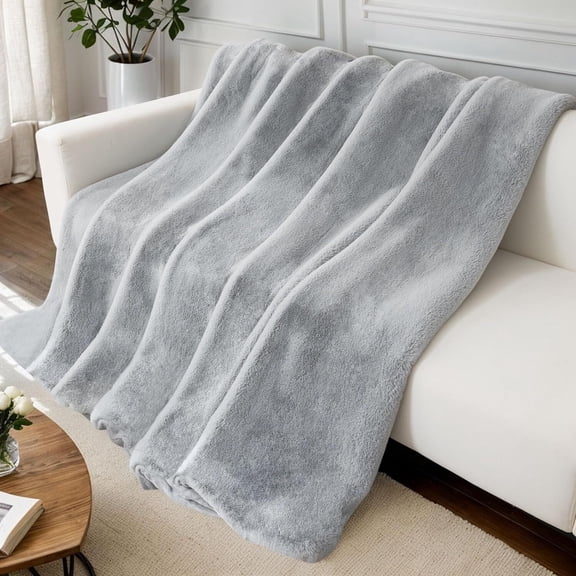 TOPCHANCES Plush Throw Blanket, Soft Fuzzy Throw Blankets, Reversible Bed Blanket for Bed Couch Travel (Light Grey, 39" x 63")