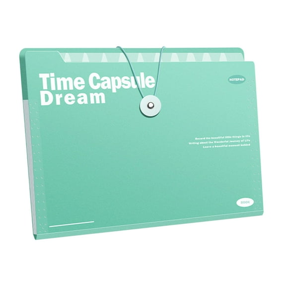 TOPRenddon Art Portfolio Folder, 30 Pockets Display 60 Pages Art Painting Portfolio Binder with Clear Plastic Sleeves, Presentation Storage Book for Artists Artwork Drawing