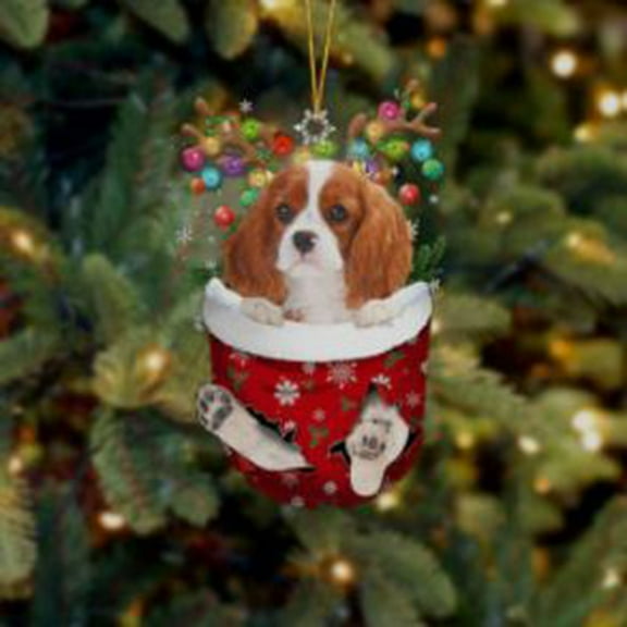 TOPRenddon Dog Ornaments for Christmas Tree,Cute Dog Picture Decorations,Pet Memorial Gifts for Christmas,Funny Christmas Tree Ornaments for Indoor Home/Car/Farmhouse