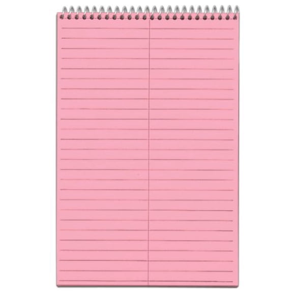 TOPS Spiral Steno Notebook, Gregg Rule, 6" x 9", 80 Sheets, 4 Pads per Pack