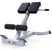 TOPTENG Roman Chair Back Extension Machine - Lower Back Hyperextension Bench - Adjustable Exercise Equipment for Hamstring and Glute for Home Gym 300 lbs