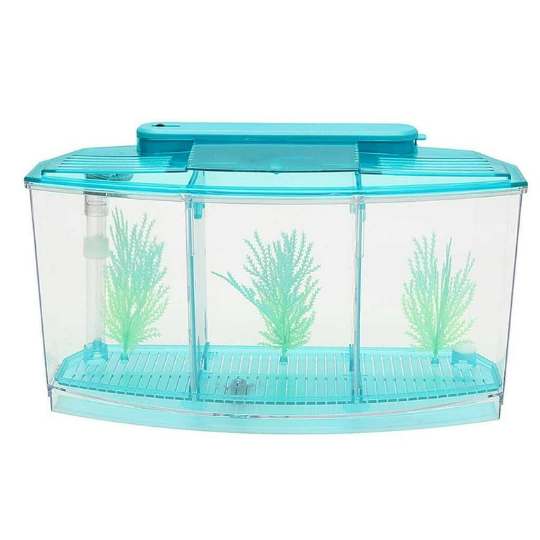 TOPUUTP Mini Fish Tank Aquarium with LED Light and Filter Divider Water Tank Price Drop Flash Deals Blue Walmart