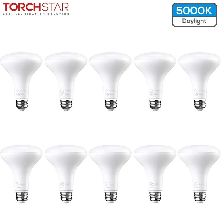 Br30 outdoor flood light deals