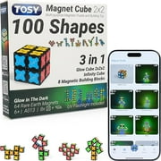 TOSY Magnet Cube 2x2 - 8 Blocks, 2 in 1 Toy: 2x2x2 Puzzle Cube and Customizable Infinity Cube, Glowing, UV Flashlight, Fidget/Sensory/STEM/STEAM Magnet Tiles Birthday Gift for kids/teens/adults