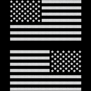 TOTOMO USA American Flag Car Sticker Decal 2 Pack Silver USF-01S