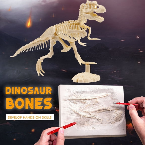 TOUMENY Dinosaur Digging Game Kit , Dino Sandbox Activity Set with 5 Fossil Excavation Bricks, Dinosaur Discovery Kit for Paleontologists 6+, Dinosaur Excavation for with Brush Tool