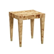TOV Furniture Brandyss Natural Burl End Table