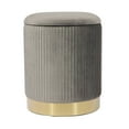 thumbnail image 1 of TOV Furniture Zoe Grey Upholstered Velvet Storage Ottoman With Gold Base, 1 of 6
