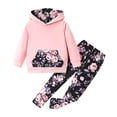 thumbnail image 1 of TOWED22 2Pcs Girls Fall Winter Clothes Print Graphic Hoodie Sweatshirt Tops & Sweatpants Outfits Clothing Sets,Pink,8-9 Y, 1 of 4