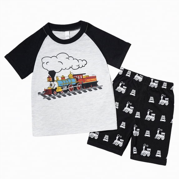 TOWED22 Infant Baby Boy Dinosaur Outfit Short Sleeve Tee and Shorts Casual Summer Clothes Set 6 12 18 Months Grey,2-3 Y
