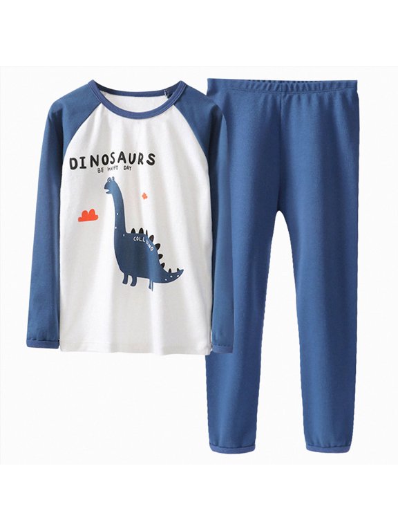 Outfit for Toddler Boys Long Sleeve Print Crewneck Top Elastic Waist Pants 2 Piece Casual Winter Clothing Set(Blue,5-6 Y)