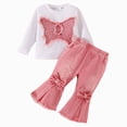 thumbnail image 1 of TOWED22 Toddler Infant Baby Girl Fall Winter Clothing Set 2 Piece Outfits Long Sleeve Crewneck Tee and Pants Soft for School(Pink,2-3 Y), 1 of 5