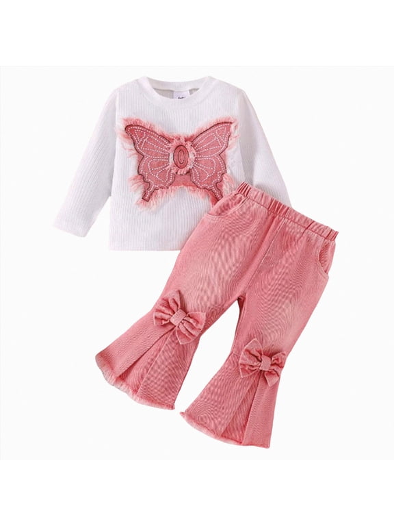 Toddler Infant Baby Girl Fall Winter Clothing Set 2 Piece Outfits Long Sleeve Crewneck Tee and Pants Soft for School(Pink,2-3 Y)