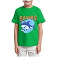 thumbnail image 1 of TOWED22 Toddler Little Boy Summer Dinosaur Clothes Funny Letter Short Sleeve Tshirt Tops Boy Summer Tee Top 1T 2T 3T 4T 5T(Green,3-4 Y), 1 of 4