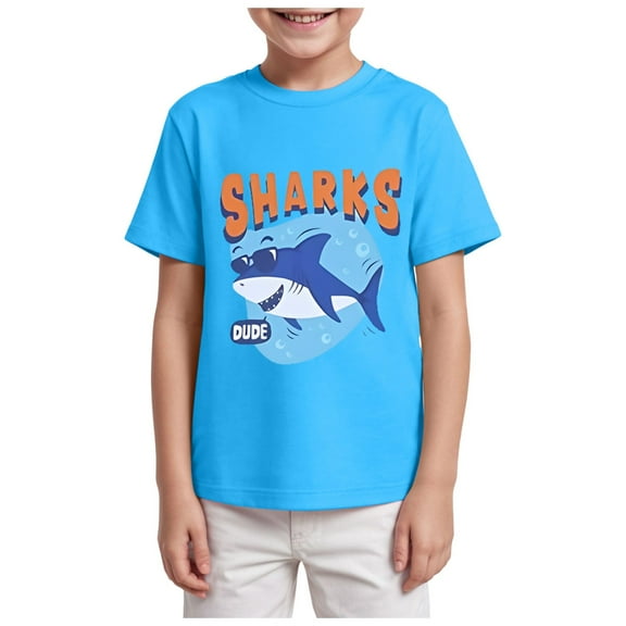 TOWED22 Toddler Little Boy Summer Dinosaur Clothes Funny Letter Short Sleeve Tshirt Tops Boy Summer Tee Top 1T 2T 3T 4T 5T(Sky Blue,13-14 Y)