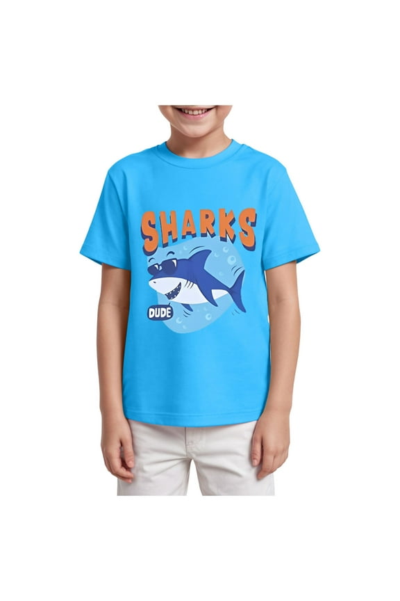 Toddler Little Boy Summer Dinosaur Clothes Funny Letter Short Sleeve Tshirt Tops Boy Summer Tee Top 1T 2T 3T 4T 5T(Sky Blue,13-14 Y)