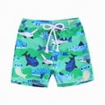 thumbnail image 1 of TOWED22 Toddler Swim Trunks Baby Boy Bathing Suit Quick Dry Kids Swimsuits Boys Board Shorts Kids Swim Shorts Boys' Swimwear Green,6-12 M, 1 of 4