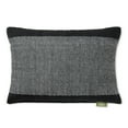 thumbnail image 1 of TOWN & COUNTRY TERRA Alara Solid Border Handcrafted Indoor Outdoor Decorative Pillow, 100% Recycled Materials, UV Fade Resistant, Water Repellent, Black/Ivory, 14"x20", 1 of 9
