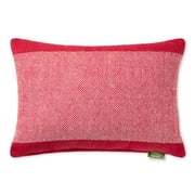 TOWN & COUNTRY TERRA Alara Solid Border Handcrafted Indoor Outdoor Decorative Pillow, 100% Recycled Materials, UV Fade Resistant, Water Repellent, Red/Ivory, 14