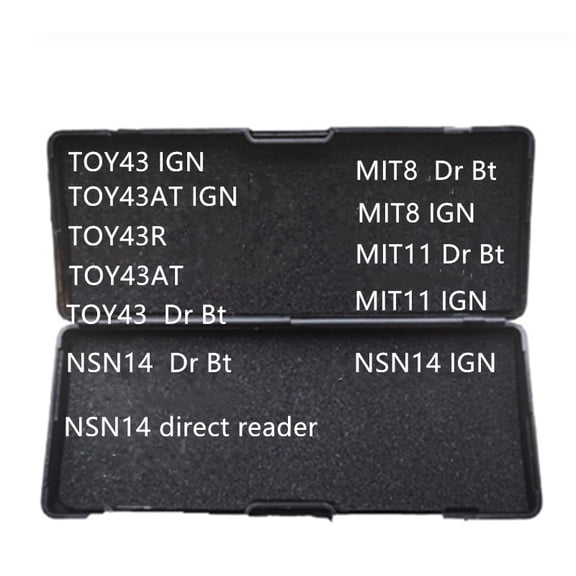 TOY43 IGN-VeShi-2 in 1