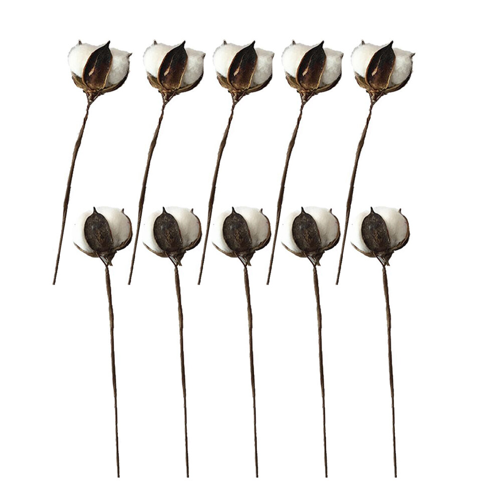 TOYMYTOY 10pcs 30cm Simulative Dried Cotton Stems Farmhouse Style