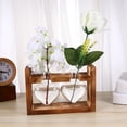 thumbnail image 1 of TOYMYTOY 2Pcs Coffee Glass Vase with Wooden Stand Hydroponic Plant Container for Flower Storage, 1 of 5