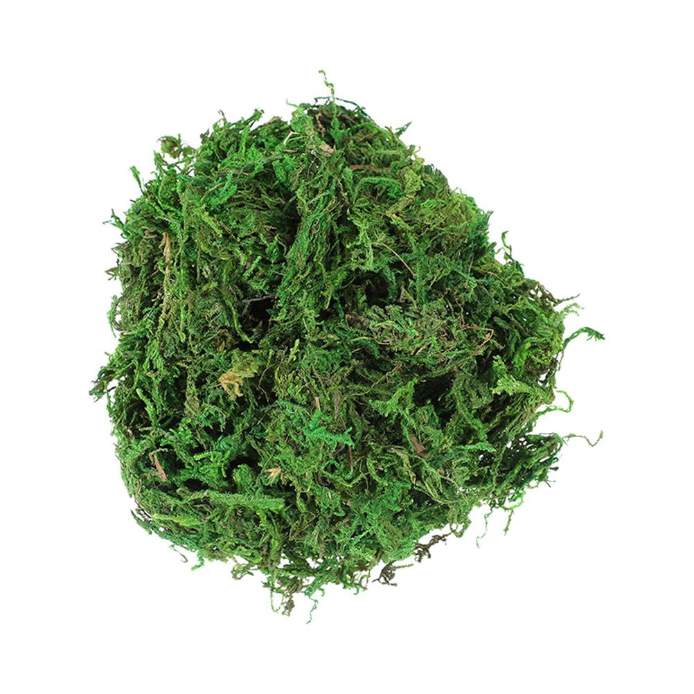 TOYMYTOY 3 Bags Fresh Dried Natural Moss Decorative Moss for Dressing