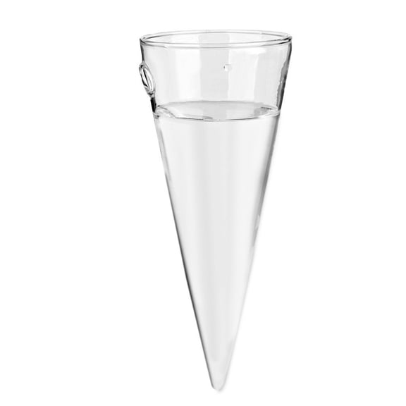 Tineasur Handmade Clear Circular Cone Glass Wall Vase for Plant Flower Decor