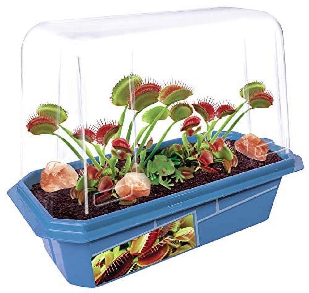 Kids Blue Terrarium Kit with Venus Flytraps and Red Calcite