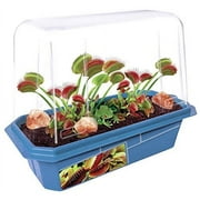 TOYS BY NATURE Grow Your Own Frightening Venus Flytraps - Kids Terrarium Kit to Grow Vicious Bug Eating Monsters - Includes Everything Needed for These Fascinating Plants to Flourish